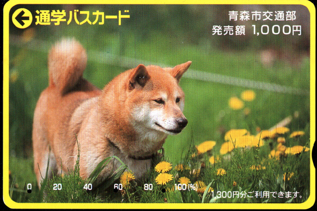 青森市 通学バスカード