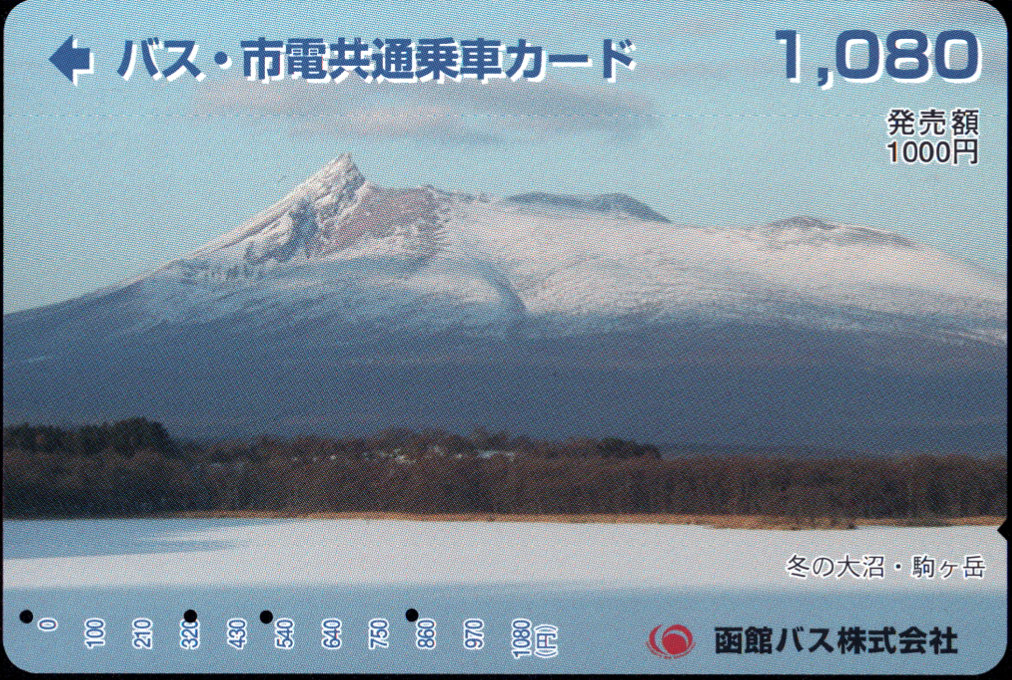 函館バス バス・市電共通乗車カード 普通カード