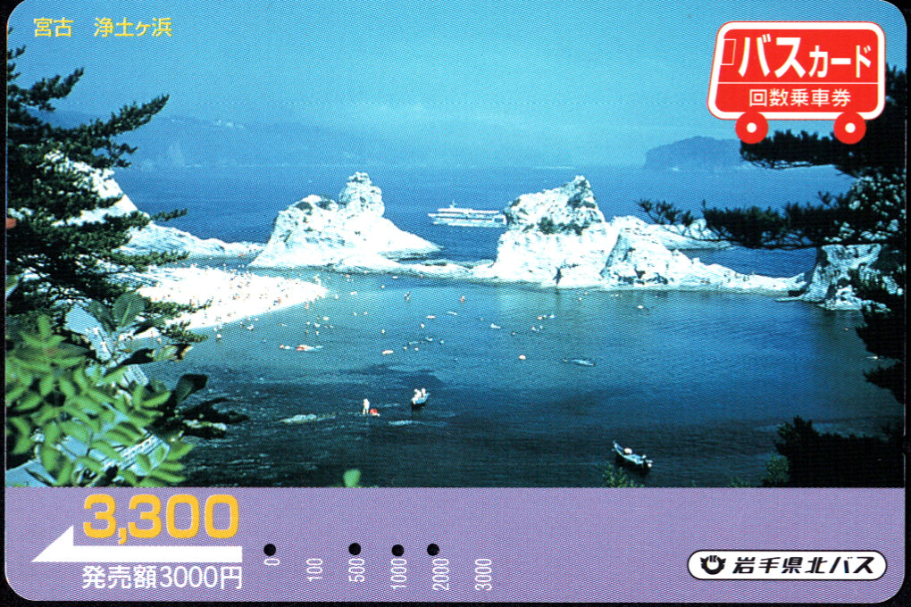 岩手県北バス 普通カード