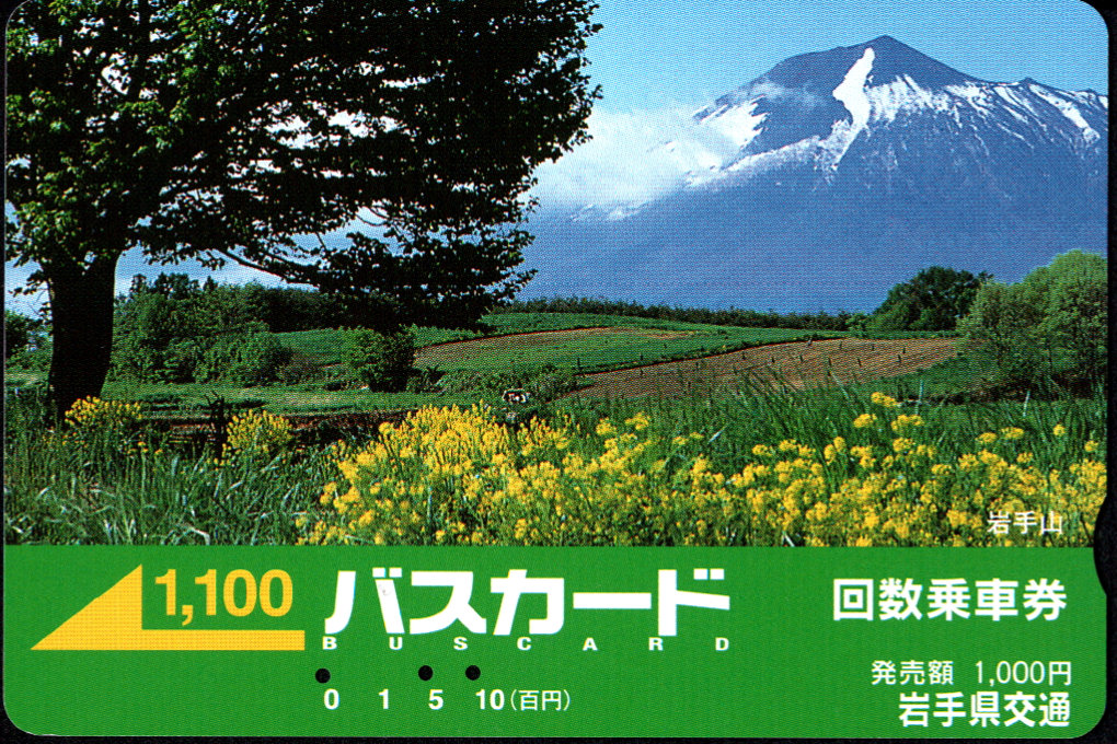 岩手県交通 普通カード
