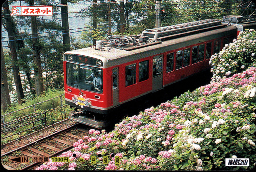 箱根登山鉄道 パスネット 普通カード [車両]