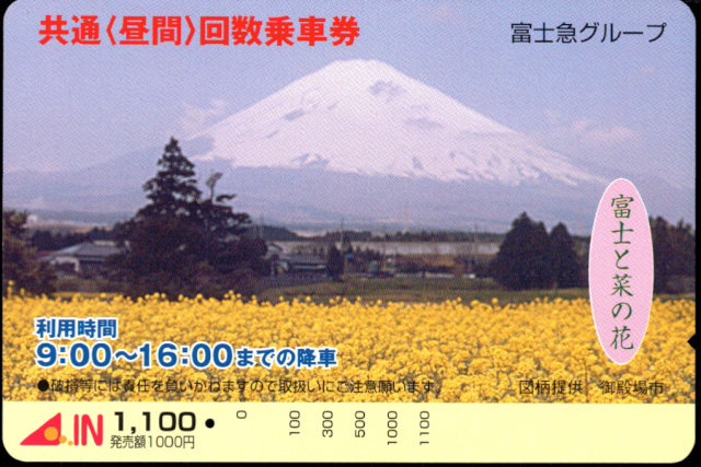 グループ共通 昼間カード