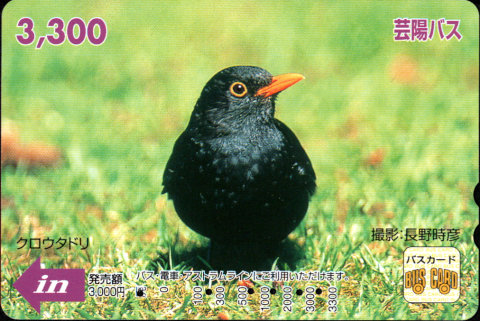 芸陽バス 普通カード