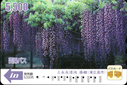 芸陽バス 普通カード