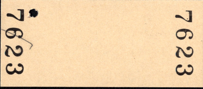 長野電鉄 特急乗車券